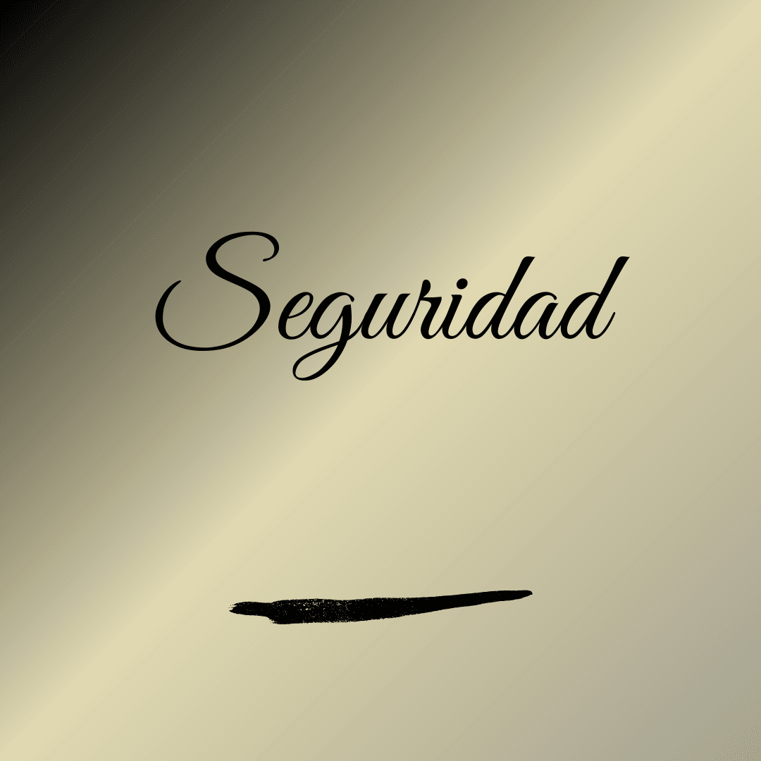 Seguridad